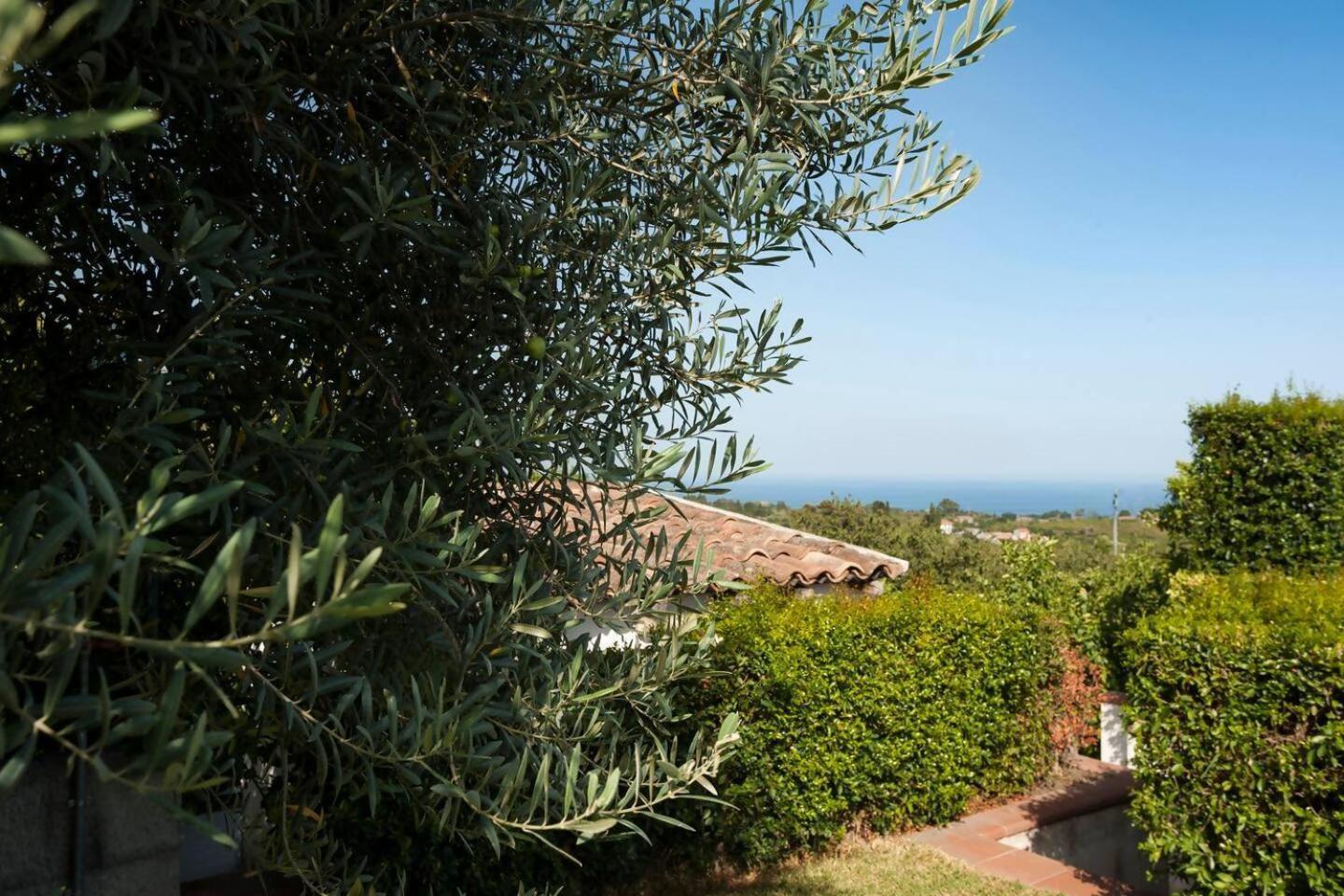 Villa Ginevra Santa Venerina Exteriör bild